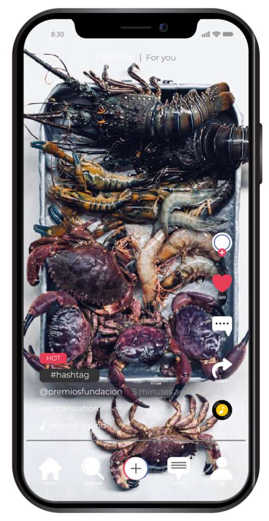 mockup_TIKTOK - individuales-14