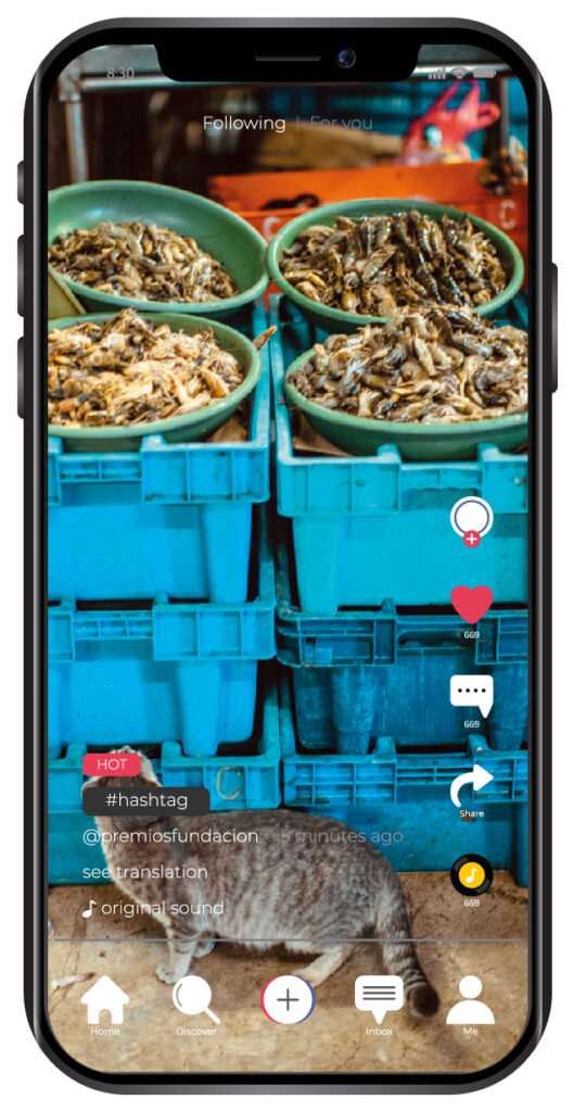 mockup_TIKTOK - individuales-16